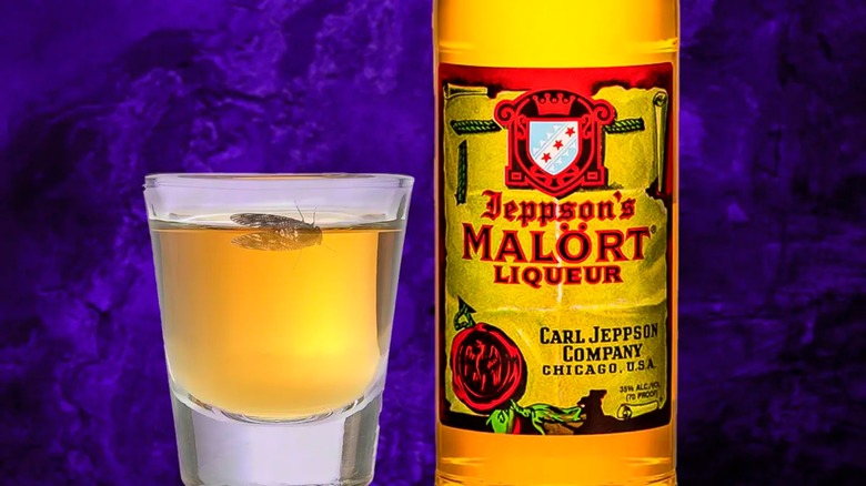 Malört shot with cicada